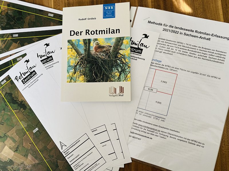 Landesweite Rotmilankartierung 2021 in Sachsen-Anhalt